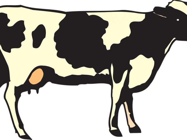 Agriculture Clipart Cow - Plant Products And Animal Products (640x480)