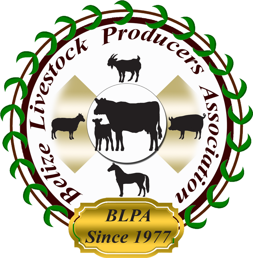 Member Resources - Member Resources (865x881)