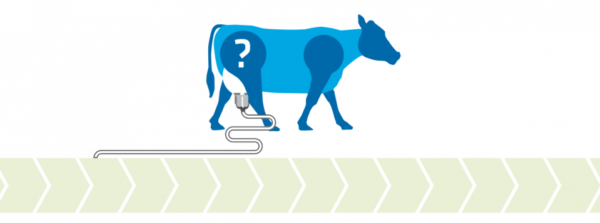 It Is Available To All Dairy Farmers Who Take Part - Illustration (600x223)