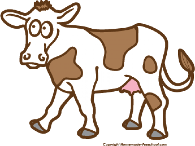 Cow Clipart Preschool - Cow Images Clip Art Black And White (640x480)