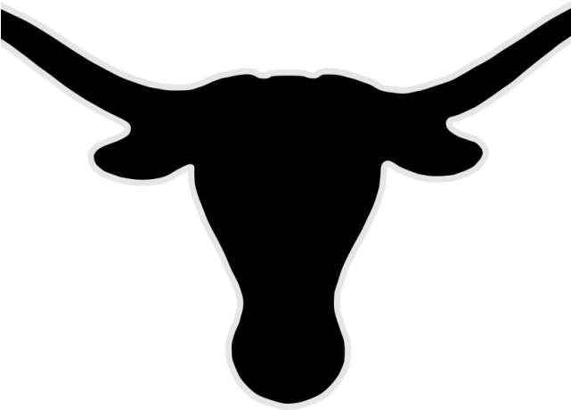 Longhorn Cattle Clipart Head - Texas Longhorns Jpg (640x480)