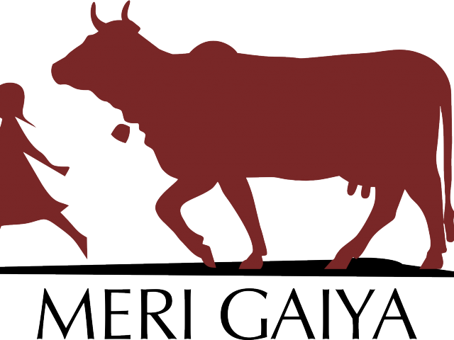 Longhorn Cattle Clipart Zebu - Gir Cow Logo Design (640x480)