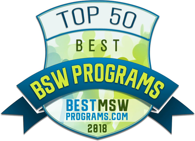 A Bachelor's In Social Work Is A Very Versatile Degree - Bsw (820x600)