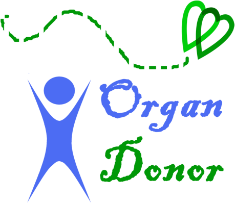 Type Of Organ Donation (459x398)
