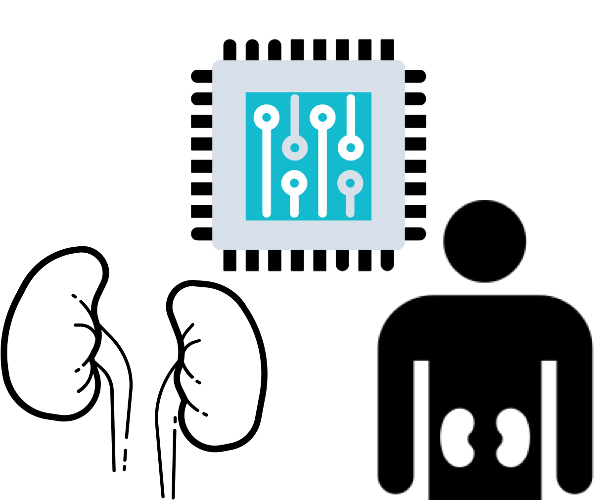 An Optimistic Future For Organ Transplantation With - An Optimistic Future For Organ Transplantation With (1283x1010)