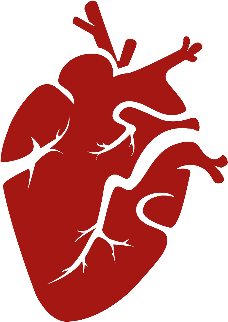 Heart Noun 19821 A41712 - Illustration (1200x1200)