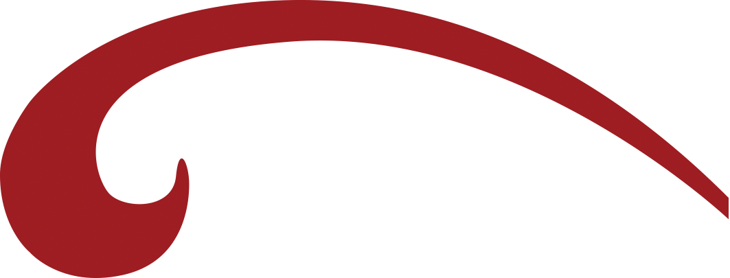 The Campaign's Goal Is To Reconstruct And Expand Kaua'i's - The Campaign's Goal Is To Reconstruct And Expand Kaua'i's (1063x405)