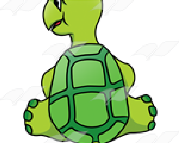 Shell Clipart Turtle Back - City Wok (640x480)