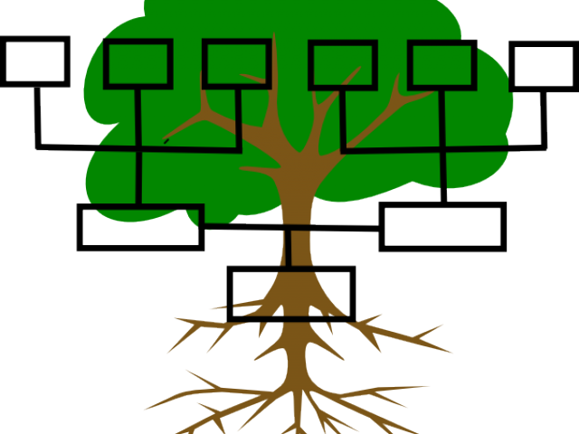 Family Line Cliparts - Family Tree Clipart Blank (640x480)