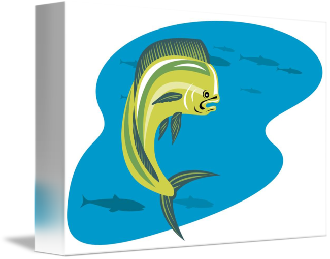 Dorado Dolphin Fish Mahi-mahi Jumping By Aloysius Patrimonio - Illustration (650x509)