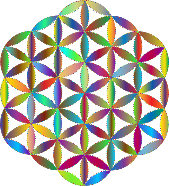 Overlapping Circles Grid Sacred Geometry Symbol Ornament - Overlapping Circles Grid (684x750)