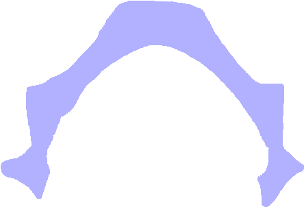 Vertebral Arch Vertebral Foramen - Vertebral Arch Vertebral Foramen (770x650)