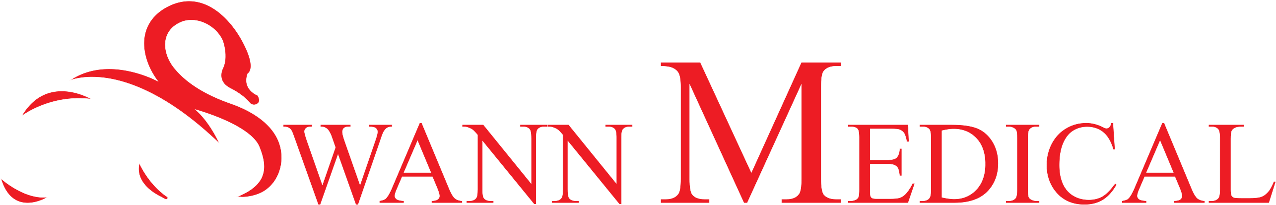 Spinal Decompression Treatment Tampa - Spinal Decompression Treatment Tampa (2570x467)