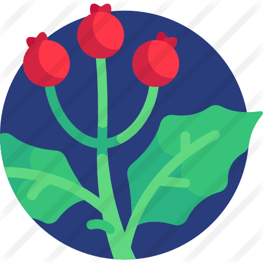 Berries Free Icon - Illustration (512x512)