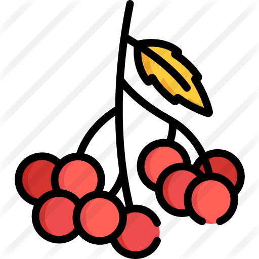Berry Free Icon - Berry Free Icon (512x512)