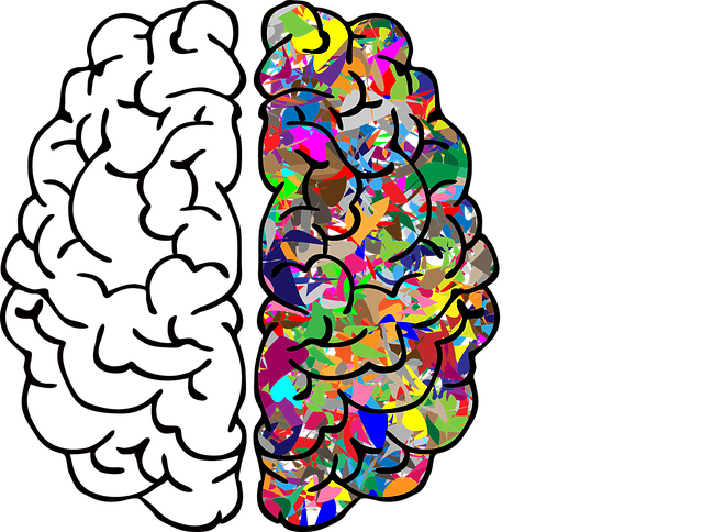 Colorful Brain For Nad Therapy - Biopsychological (640x484)