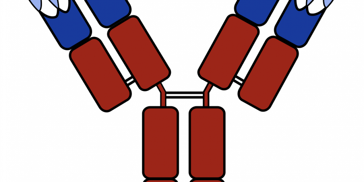 Combination Therapy Is The Future Of Immuno-onclogy - Anticorpo Jpg (1200x600)