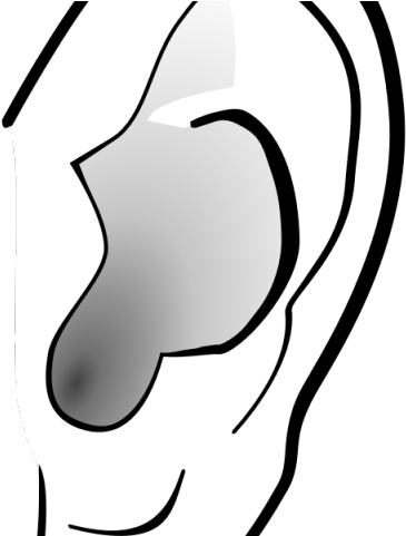 Ear Clipart Cartoon Clip Art - Transparent Background Ear Clipart (640x480)