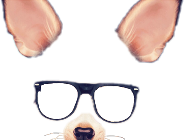 Snapchat Clipart Dog Ear - Snapchat Filters Png Transparent (640x480)