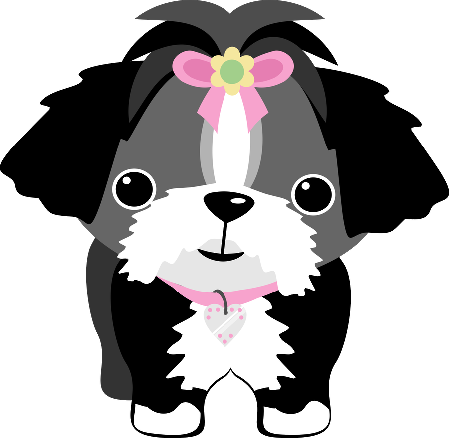 Cachorrinhos E Gatinhos - Happy Birthday Funny Shih Tzu (900x879)