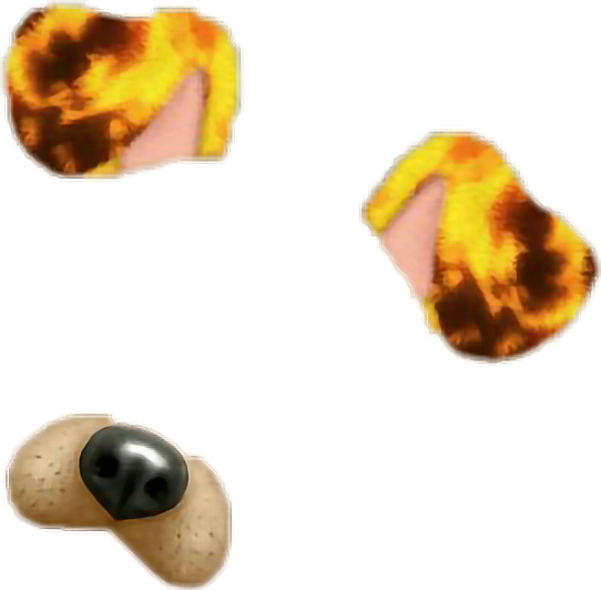 542 X 532 26 - Transparent Dog Ears And Nose (542x532)