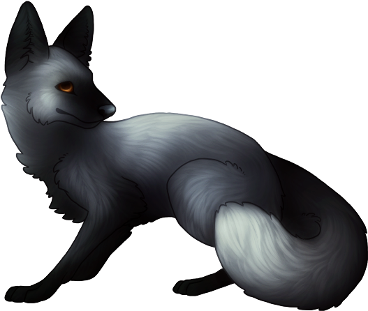 Winter Arctic Fox- Available For Special Offer - Silver Fox (600x525)