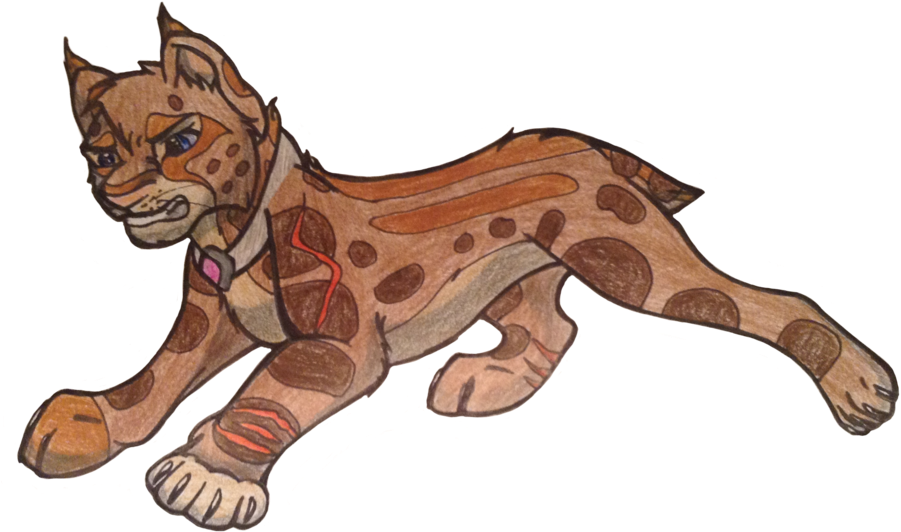 Sarius Traditional Clipart - Cartoon (900x672)