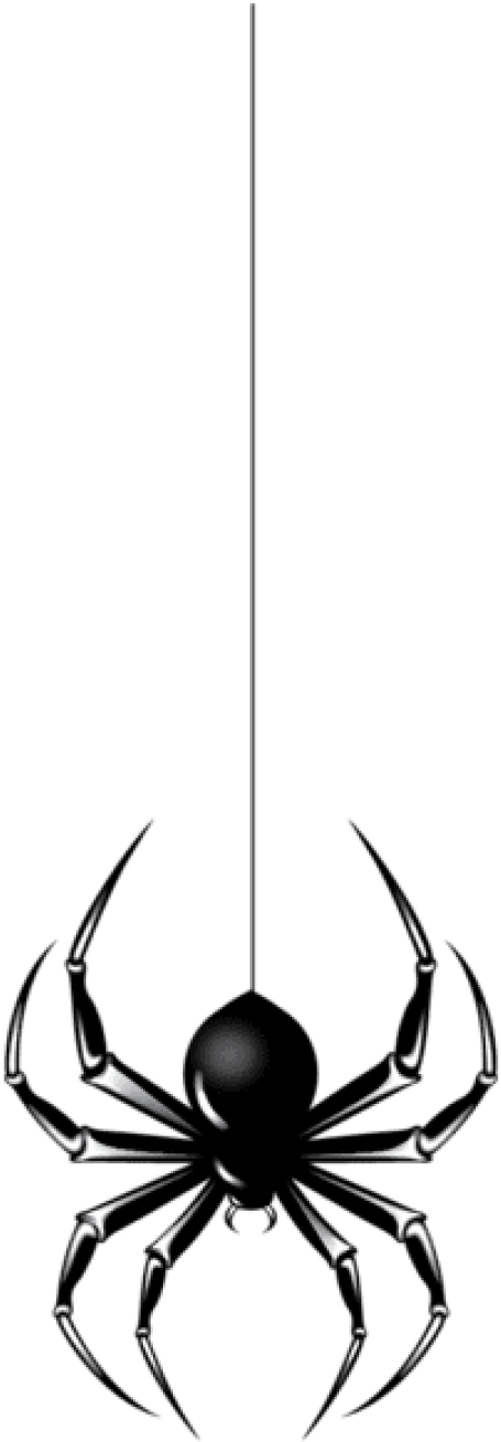 Free Png Download Halloween Black Spider Png Images - Spider Hanging Clip Art (480x1353)