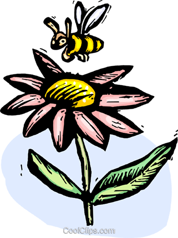 Flower And A Bee Royalty Free Vector Clip Art Illustration - Sunflower (360x480)