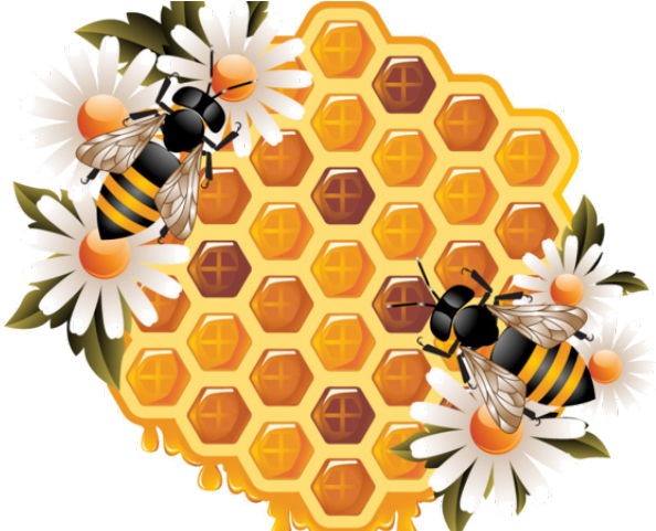 Bee Clipart Flower - Honey Bee Illustration (640x480)
