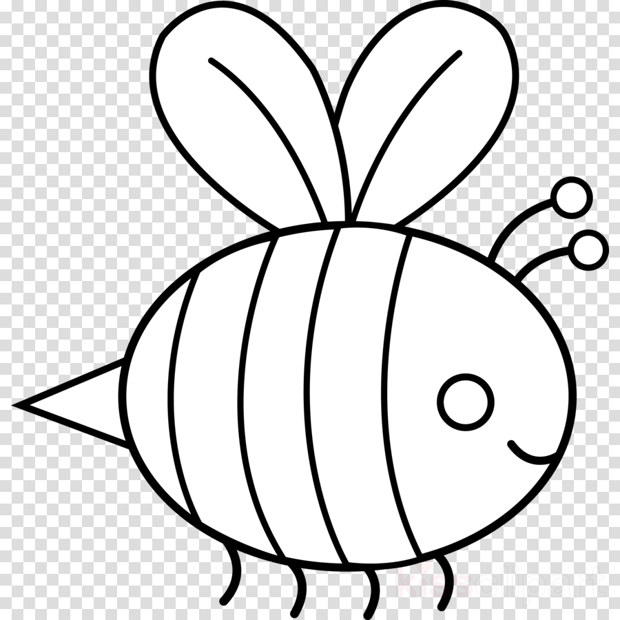 Bumble Bee Outline Clipart Bee Drawing Clip Art - Bumblebee White And Black (900x900)