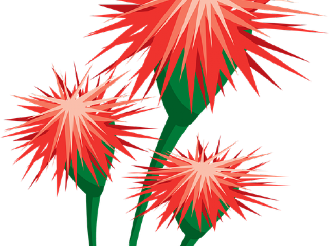 Pollination Clipart Bee Pollinating Flower - Flower With Honey Bee Png (640x480)
