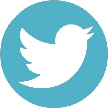 Link To Facebook Twitter Logo - Telegram Icon (458x456)