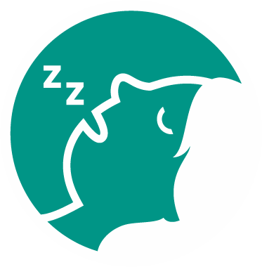 Snoring - Illustration (373x380)