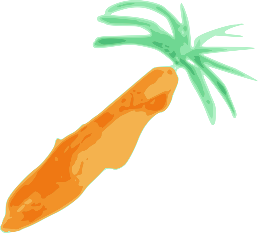 All Photo Png Clipart - Carrot (832x750)