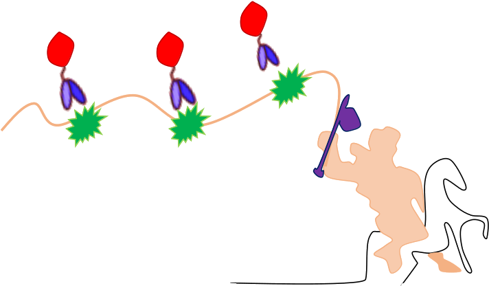 Based On Crispr-cas9 Tool, The Second Approach Aims - Based On Crispr-cas9 Tool, The Second Approach Aims (749x446)