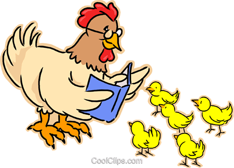 We Need Our Mother Hens - Mother Hen (480x345)