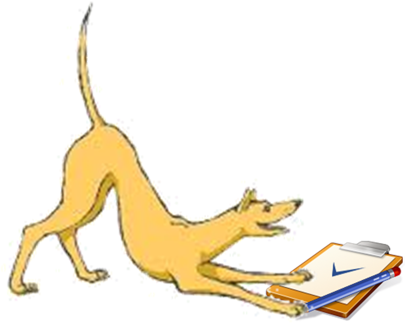 Did You Know - Bull And Terrier (881x693)