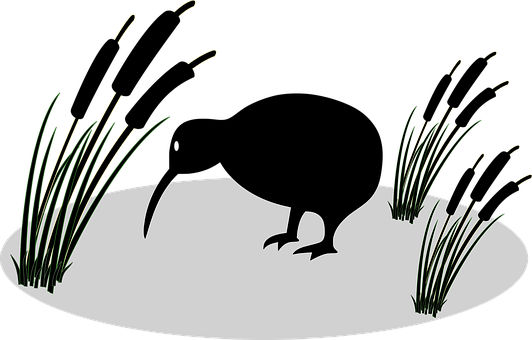 Anonymous, Bird, Kiwi, Plant, Reed - Kiwi Bird Vector Png (532x340)