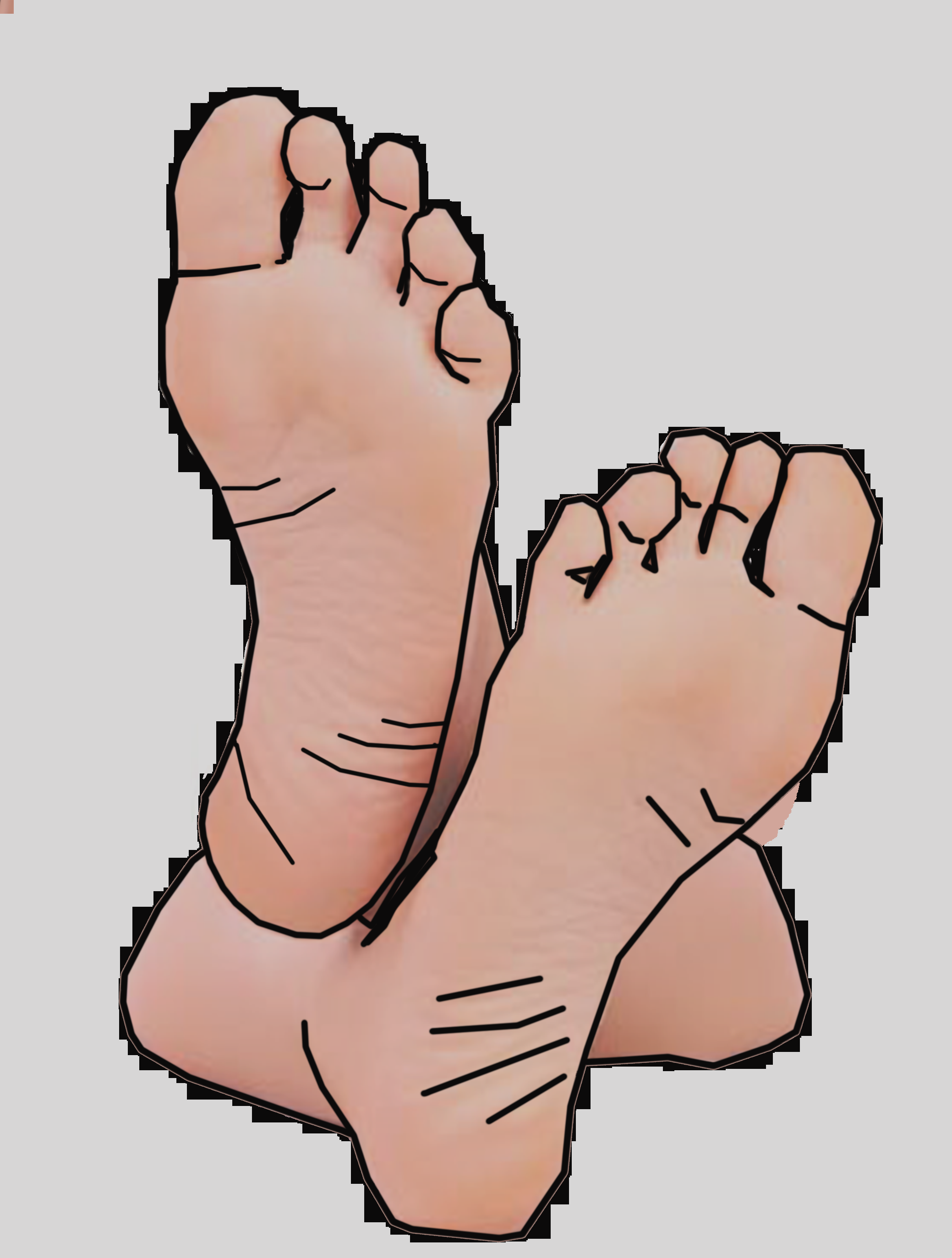 Foot Clip Art Black And White Free Clipart Images 6 - Human Feet Clipart Png (2078x2747)