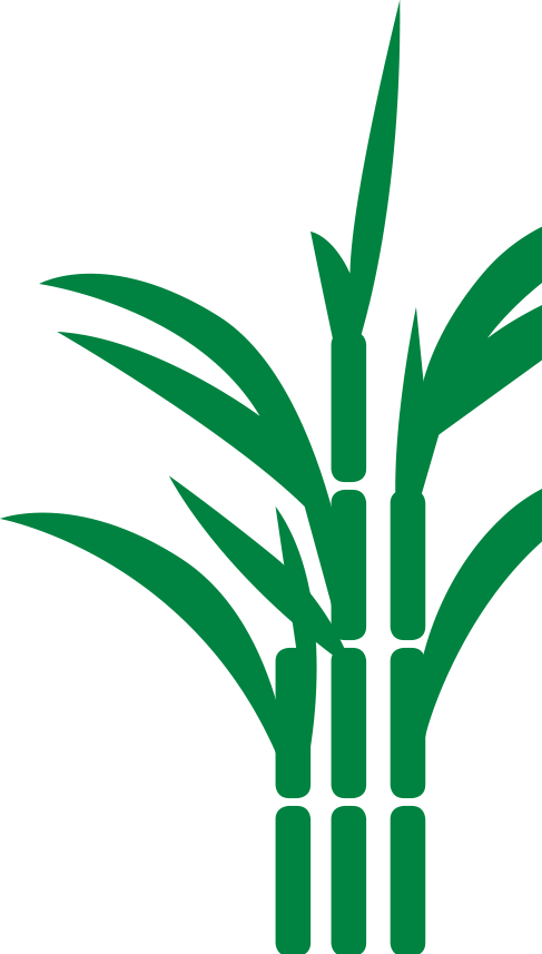 Source - - Sugar Cane Icon Png (487x857)