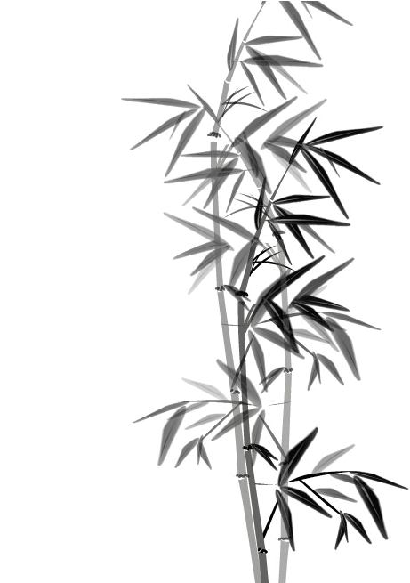 Bamboo Tree Silhouette At Getdrawings - Bamboo Leaves Silhouette Png (692x674)