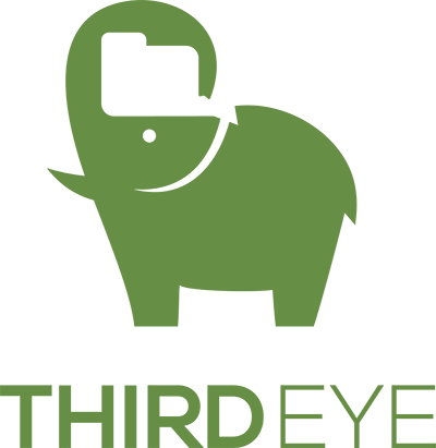 Third Eye Answers Your Data Questions - Third Eye Data (400x411)