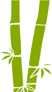 Bamboo Png - Clipart Bamboo (430x310)