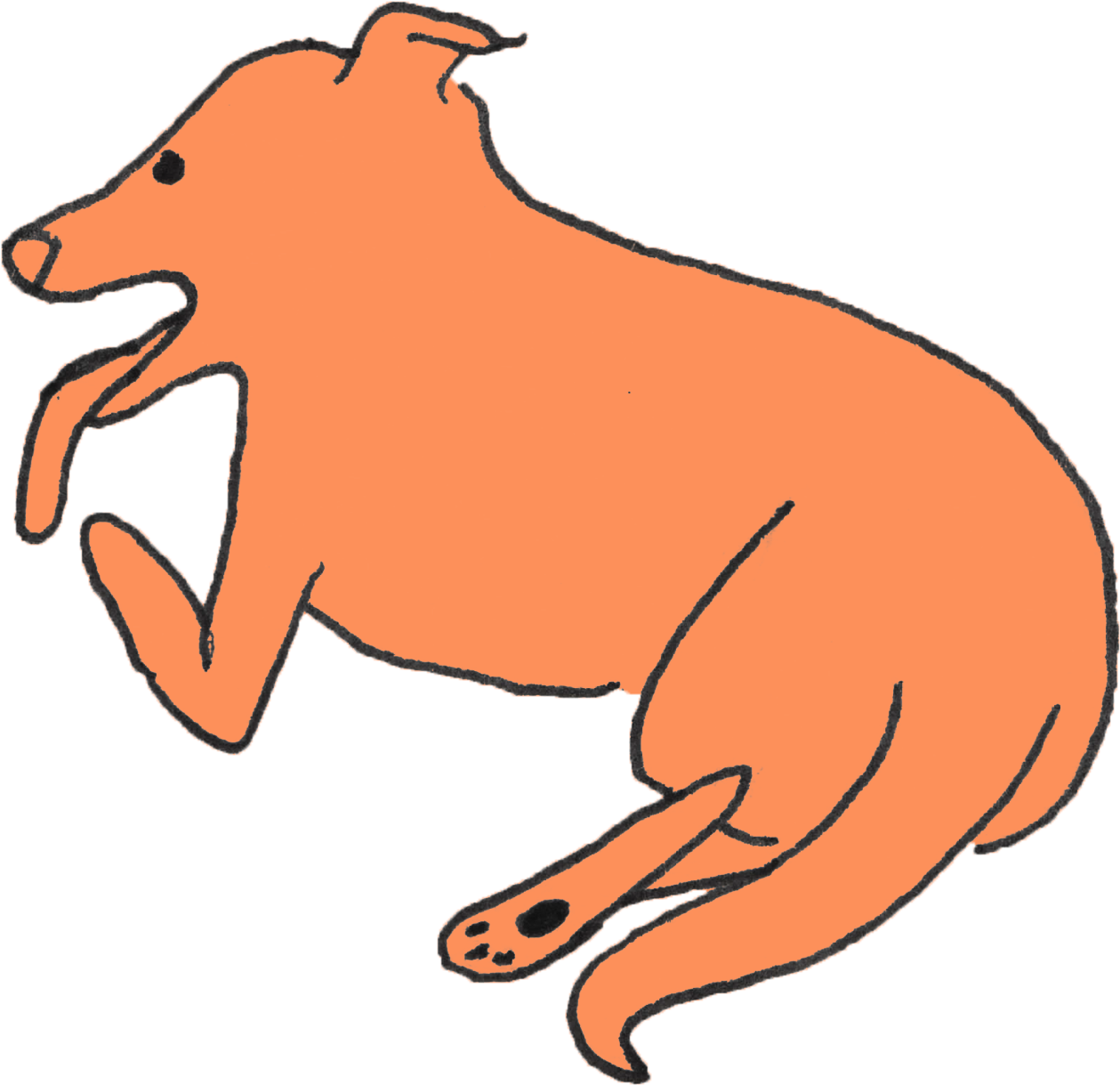 All I Need Is My Dog - All I Need Is My Dog (1500x1500)