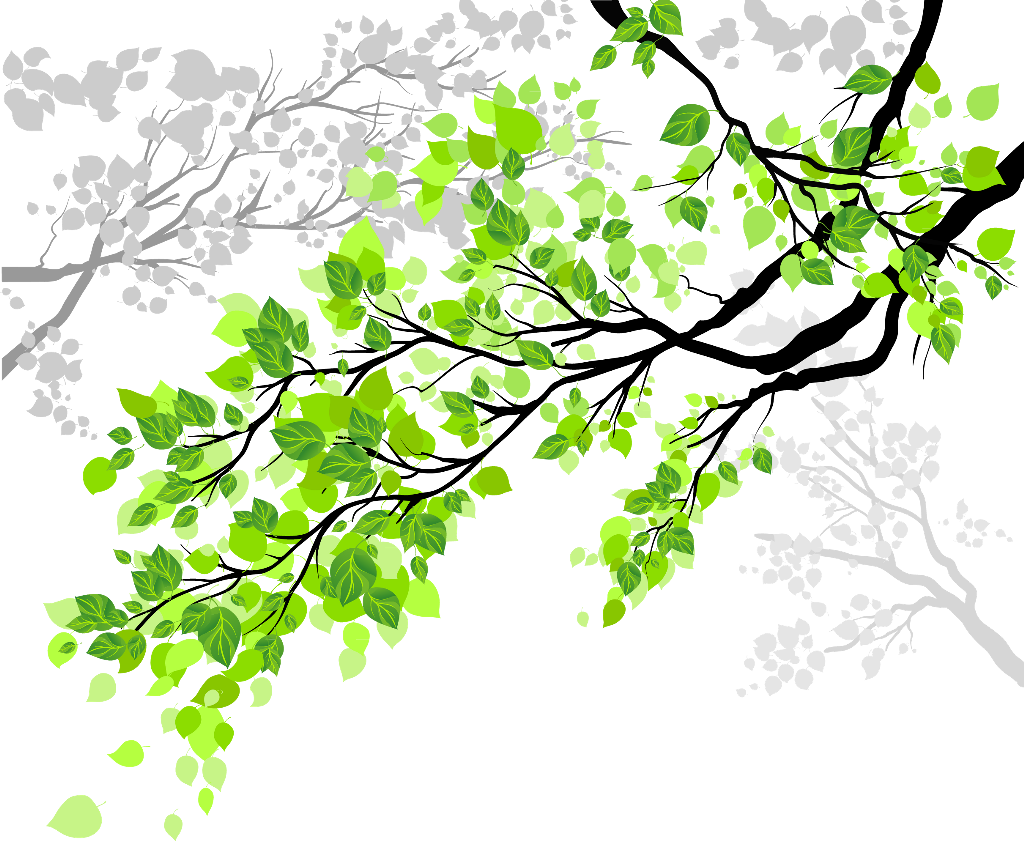 Tree Sticker - Tree Leaf Glass Film (1024x841)