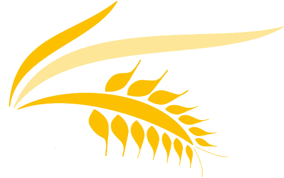 New Harvest Christian Co-op - Illustration (589x360)
