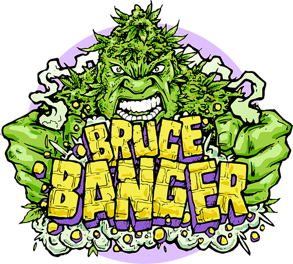 Buy Bruce Banger Regular Seeds From Seedsman Ⓒ - Illustration (600x540)