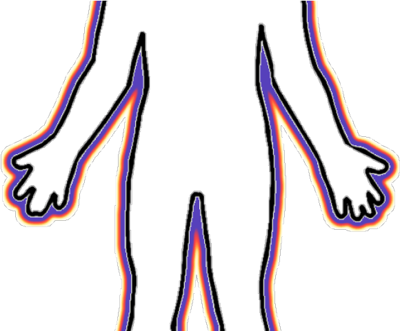 Anatomy Clipart Person - Контур Человека Png (640x480)