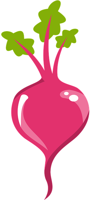 Beet Cartoon Png (320x640)